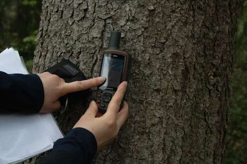 En person håller en GPS-mätaren på en trästam, med papper i händerna.
