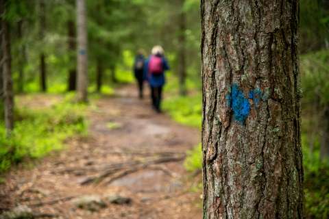 Metsäpolku, jota pitkin kävelee etäisiä hahmoja, etualalla puu jonka runkoon on maalattu sininen sydämenmuotoinen reittimerkki.