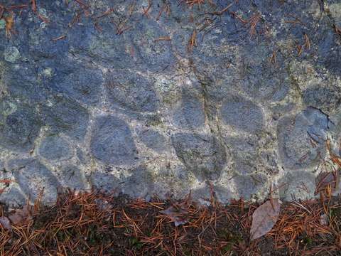 Lähikuva kivenpinnasta, jossa pallomaista kuviointia.