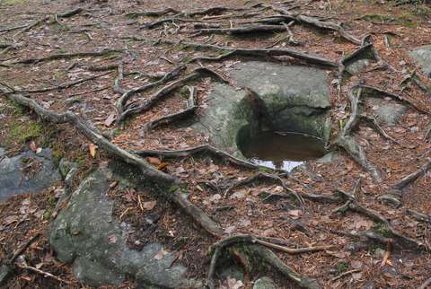Hiidenkirnu kuluneessa maastossa, hiidenkirnun pohjalla vettä.