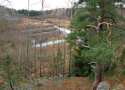 Kärret från en högre belägen klippa. Gamla diken syns fortfarande.