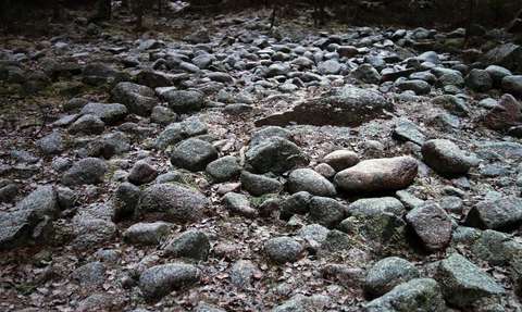 En djävulsåker, det vill säga rundslipade stenar på en fornstrand.