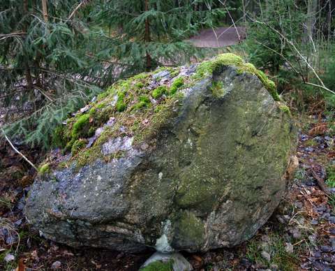 Kuva sammaloituneesta kivestä, jonka pinta on rosoinen.