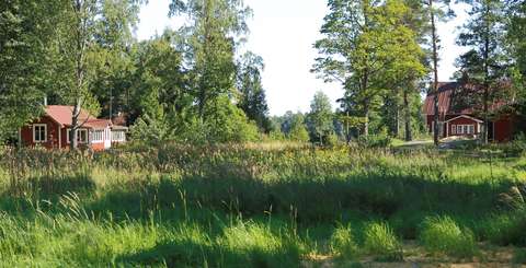 Umpeenkasvava pieni pelto, taustalla punaisia hirsimökkejä.