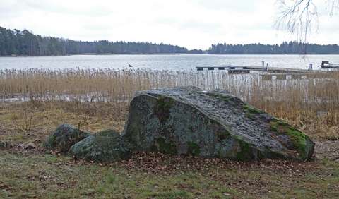 Kiilamainen suuri kivi rannassa, taustalla ruovikkoa, vettä ja horisontissa metsää.