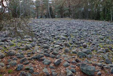 Pirunpelto eli pyöreiksi hioutuneista kivistä muodostuva muinaisranta.