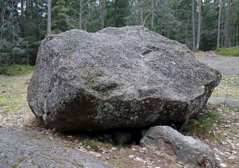 Suuri rapakivilohkare, taustalla metsää.