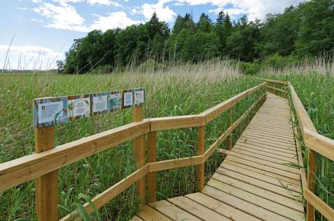 Ruovikko, jossa leveä pitkospuukujanne, vasemmalla luontopolkutauluja.
