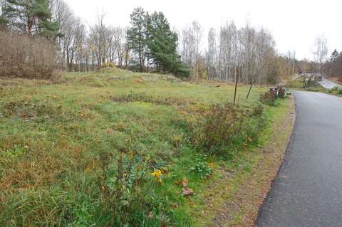 Rehevä niitty, jonka oikeaa laitaa kiertää asvaltoitu tie.