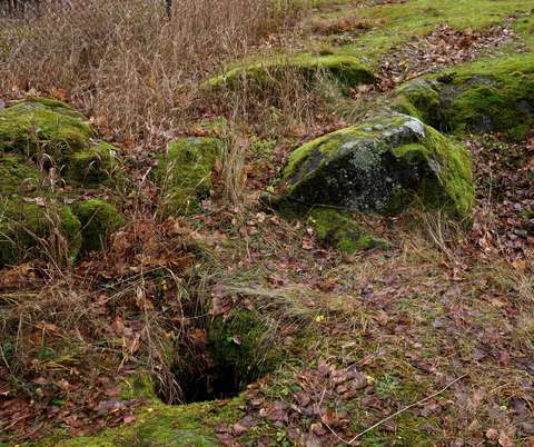 Sammaleen peitossa olevia kiviä ja niiden välissä hiidenkirnu.
