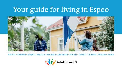 InfoFinland, verkkosivuston mainos