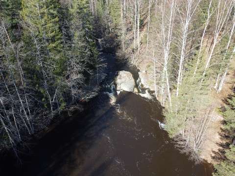 Metsän keskellä koskipaikka Dämmanin päältä idästä kuvattuna.