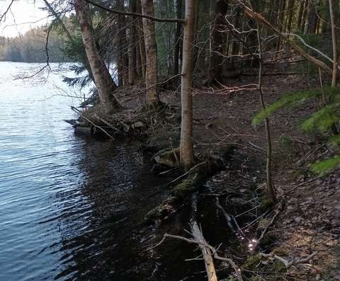 Lammen rannalla mahdollinen rakennuksen perutus, joka on osittain veden peittämä.