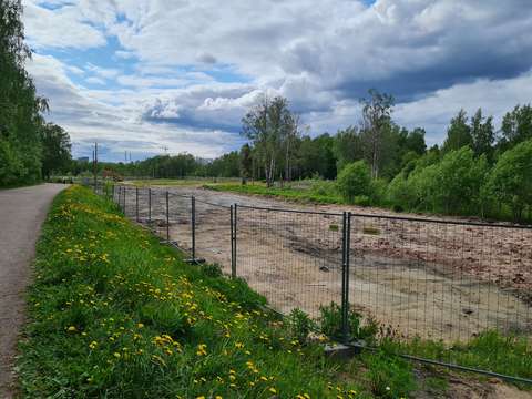 Sandväg, grön vegetation och sandfält.