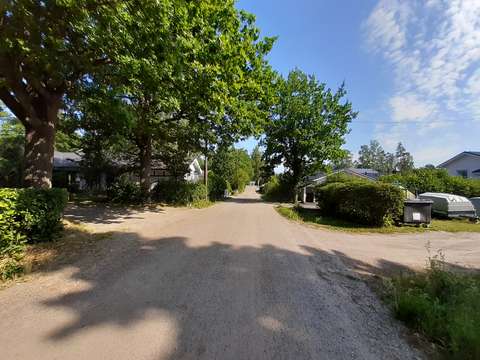 Kuvassa näkyy puita ja sinistä taivasta. Katu nykytilassa. 