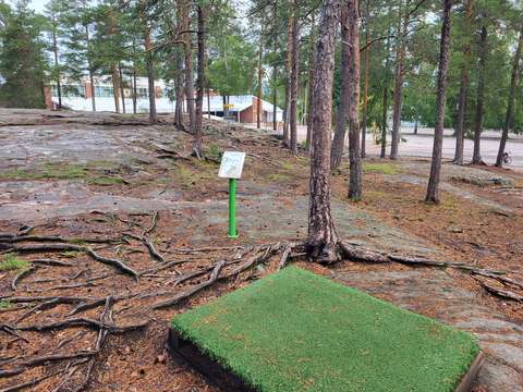 Kuvassa on Taavinkylän koulun frisbeegolfradan yksi heittopaikka.