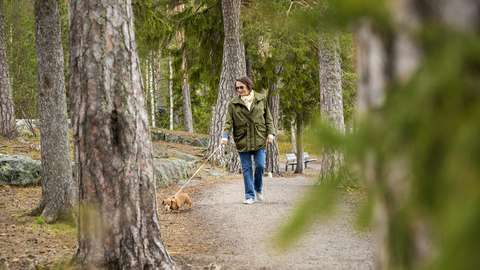 Kuvassa on nainen koiran kanssa metsäpolulla kävelelmässä.