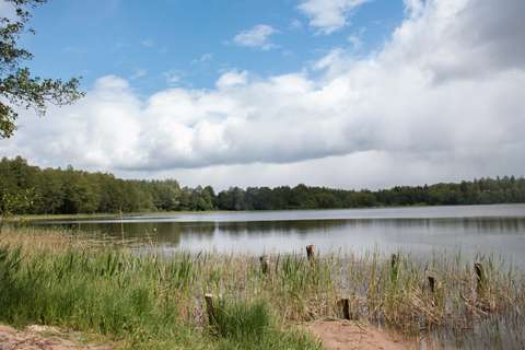 En bild av en sjö med skogiga stränder.