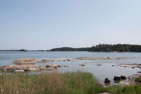 Ett havslandskap med klippor och skog.