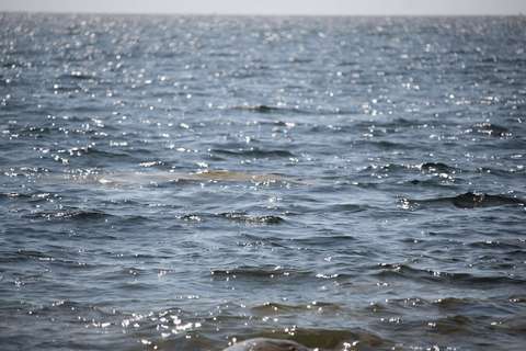 Glittrande havsvatten.