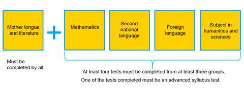Figure about matriculation examination