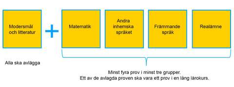 Studentexamens struktur