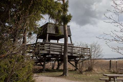 Kosteikon laidalla sijaitseva lintutorni, jossa on kaksi tasoa.