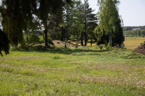 En landskapsbild med en äng i förgrunden och träd och åkermark i bakgrunden. 