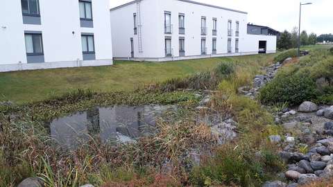 Framför de vita bostadshusen finns en gräsmatta med en damm som har bildats av dagvatten och stenar. 