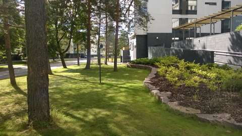 På höghusets gård finns stora träd, gräsmatta och planteringar.