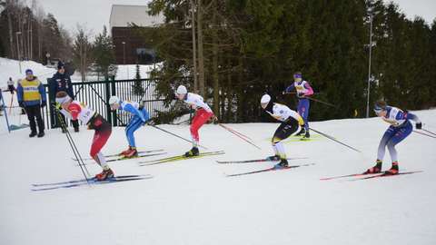 Kuvassa kuusi hiihtäjää hiihtää ladulla kilpavarusteissa. Taustalla näkyy puita ja rakennus.