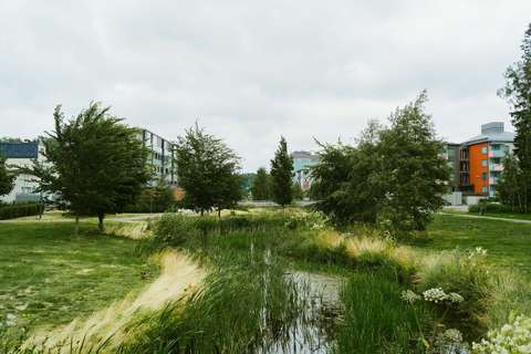 Vishetsparken i Storåkern i Esbo. I mitten av bilden löper en bäck och i bakgrunden syns flervåningshus.