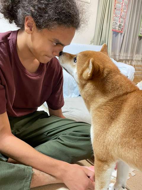 Atosja perheen koira, joka haistelee Atoksen nenää