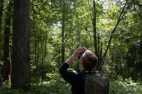 En person står mitt i skogen och tittar med en kikare på trädtopparna.