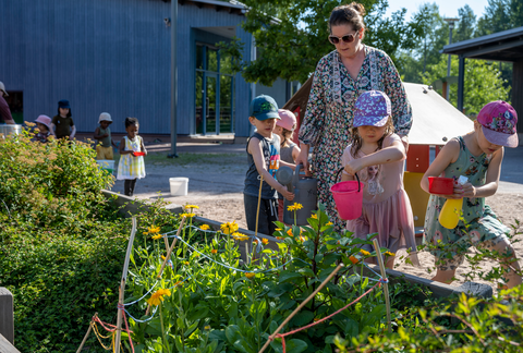 The children are watering the plants together with the teacher.
