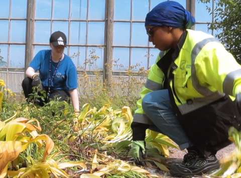 Två sommarjobbare som sköter planteringarna.