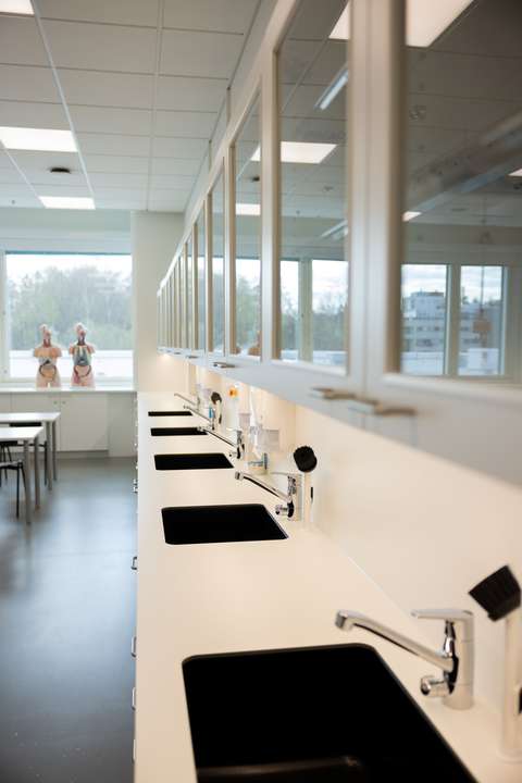 luonnontiedeluokan pesualtaat