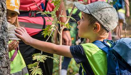 Lapset tutkivat puunrunkoa.