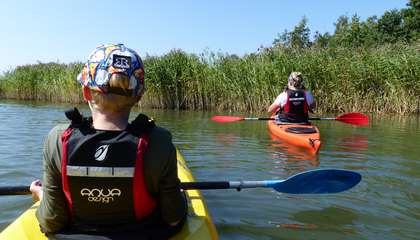 Kuvassa näkyy lapsi ja aikuinen melomassa vedessä. Molemmat on kuvattu takaapäin. Taustalla näkyy kaislikkoa.