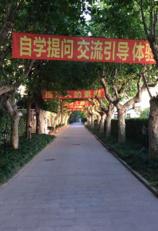 Tie, puita ja kiinalaista tekstiä lakanoissa.