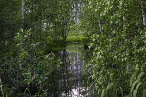Monikkobäcken, som strömmar fram mitt i bilden, omgivs av frodig grön vegetation. I bakgrunden syns ett höghus.