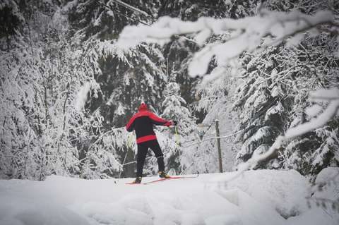 Kuvassa on takaapäin kuvattu punapukuinen hiihtäjä lumisessa metsässä.