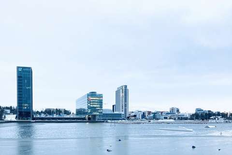 Keilaniemen toimistorakennuksia nähtynä talvisen meren yli.