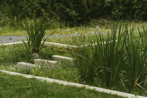 Kuvassa on reunakivillä rajattu kosteikkoalue näyttelypuistossa. Kosteikkoon on asennettu myös reunakiviä askelmakiviksi. 