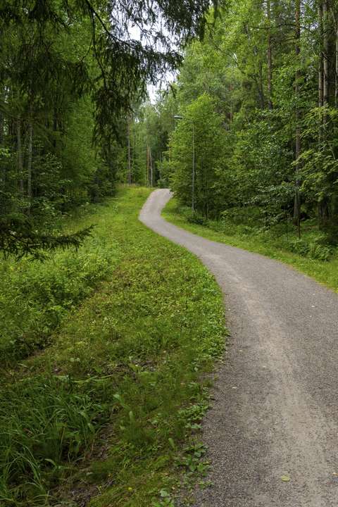 Kuvassa on metsässä kulkeva kivituhkapintainen ulkoilureitti.