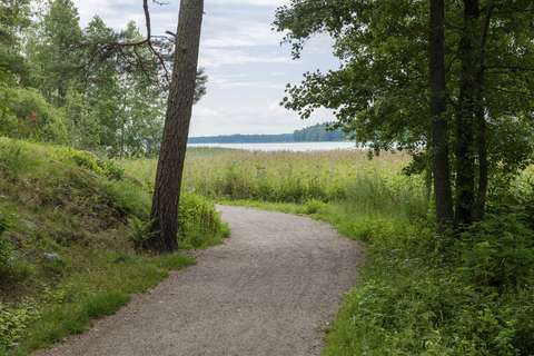 I bildens förgrund syns Strandpromenaden, som går mellan stora träd. I bakgrunden syns vass och hav.
