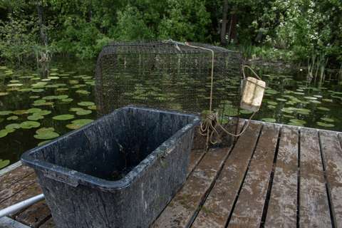 Laituri, jonka päällä muovilaatikko ja katiska.