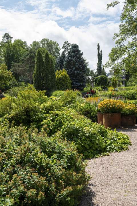 Kuvassa on näyttelypuiston puutarhaistutuksia sekä kivituhkapintaista aluetta.
