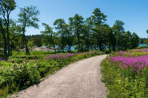 Strandpromenaden går genom en strandäng. I bakgrunden skymtar havet. På ängen växer färgglada vildblommor. 