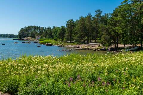Längst fram syns en strandäng. I bakgrunden syns hav och en stenig strand. På stranden växer martallar.